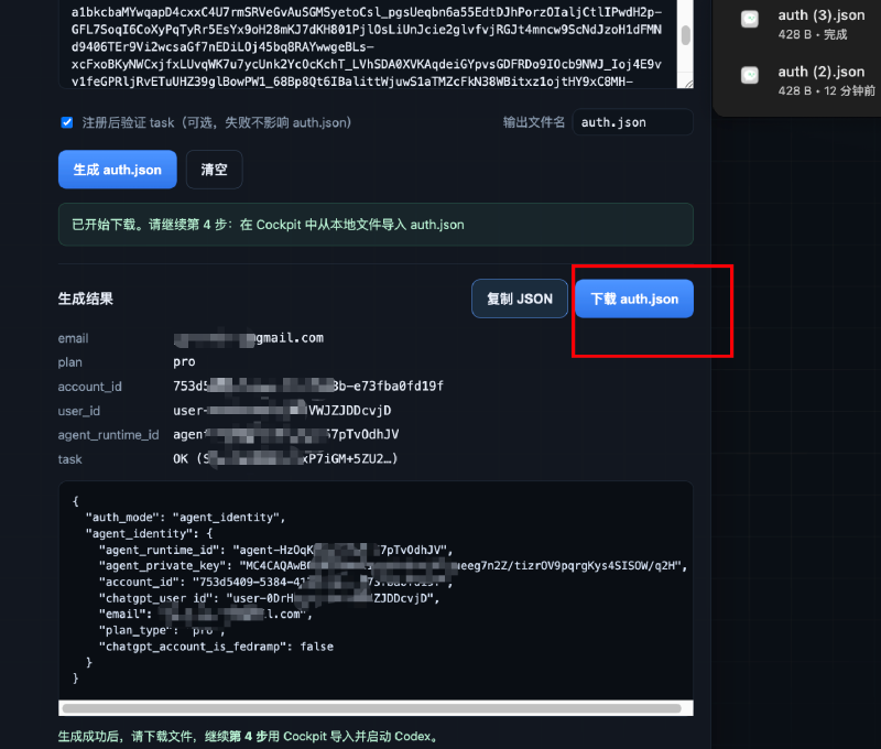 生成并下载 auth.json