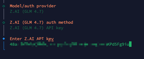 输入 API Key